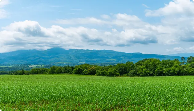 広がる畑と山並みが見える自然豊かな農業風景