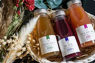 北海道余市産ぶどうを使用した無添加100％ストレート果汁ジュースの瓶セット