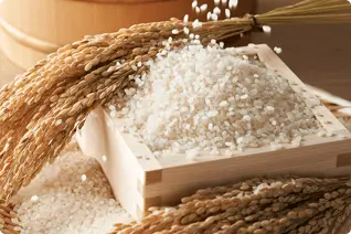 厳選された一等米